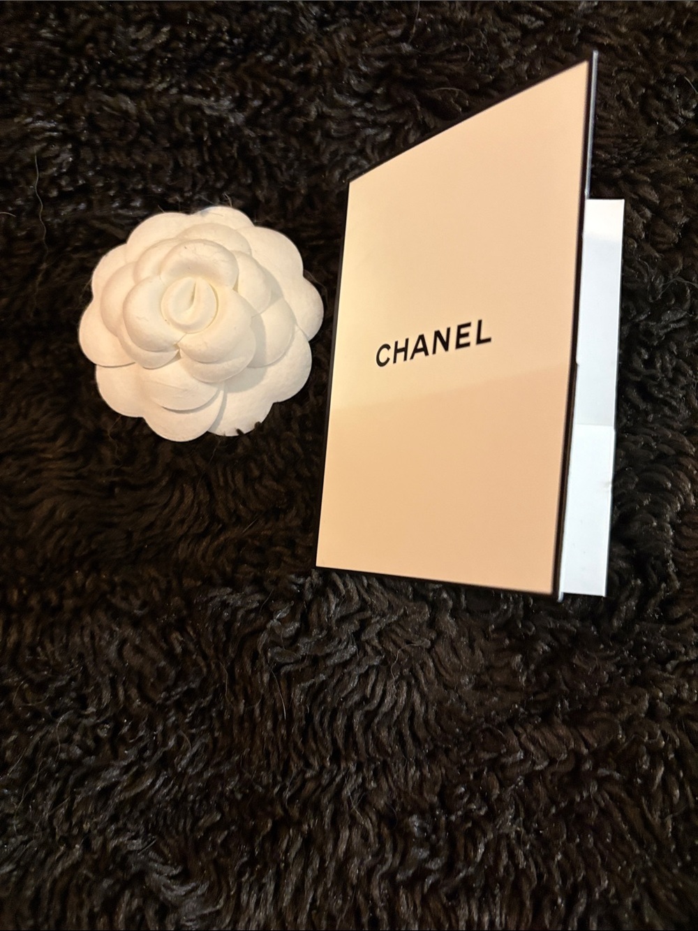 CHANEL Pale Pink Card with White Camellia